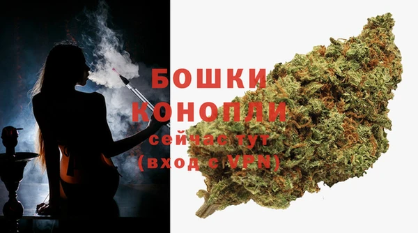 винт Осташков